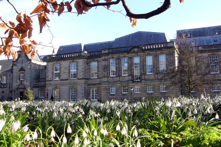 Snowflakes on st marys quad
